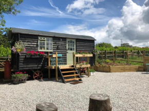 Willow Brook Shepherd Hut